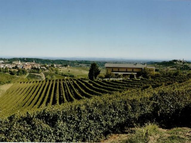Terreno in vendita a Piemonte, Asti