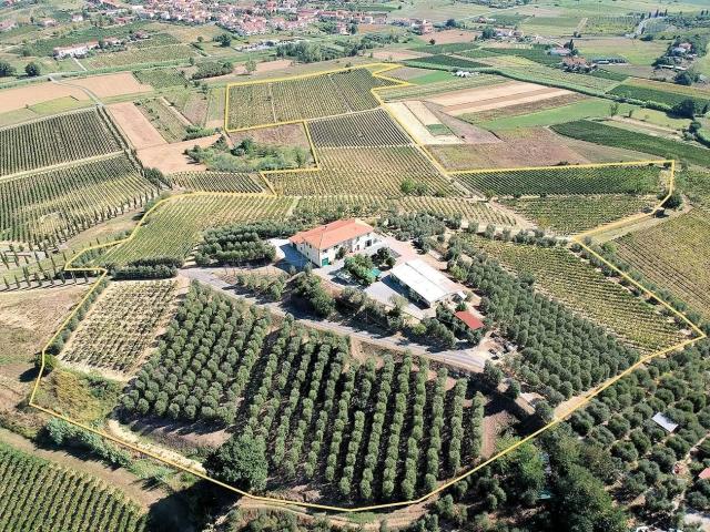 Casa in vendita a Unione dei Comuni Circondario dell'Empolese Valdelsa, Cerreto Guidi
