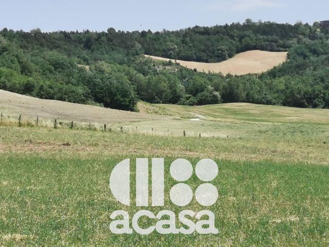Locale Commerciale in vendita a Unione dei comuni Valle del Savio, Mercato Saraceno