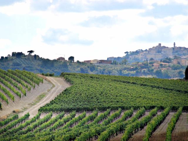 Rustico in vendita a Abbadia Di Montepulciano, Toscana