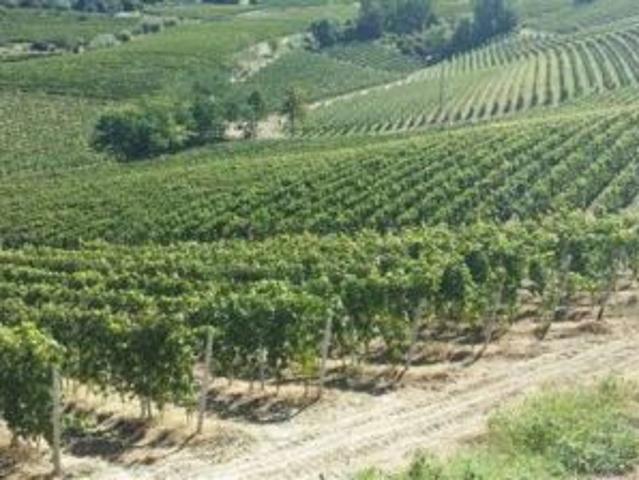 Terreno in vendita a Piemonte, Asti