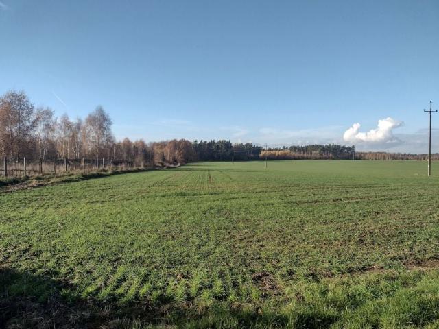 Grunt na sprzedaż w Bolesławiec, powiat bolesławiecki