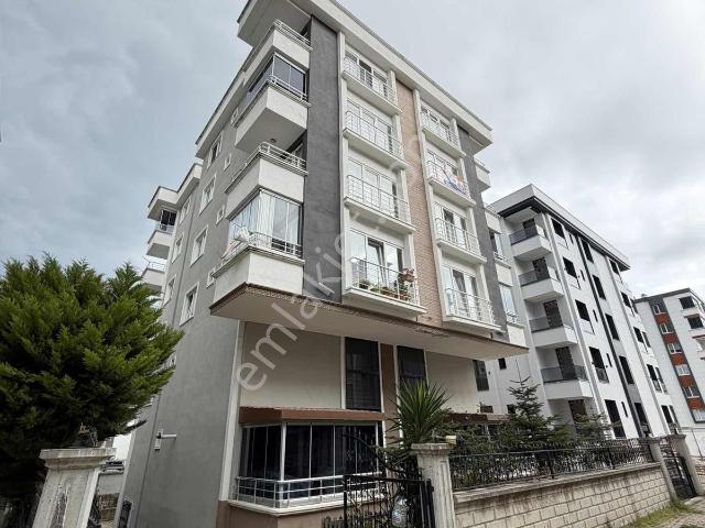 Atakum, Samsun içerisinde kiralık mülk