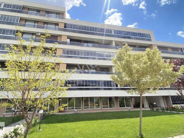 Selçuklu, Konya içerisinde kiralık mülk
