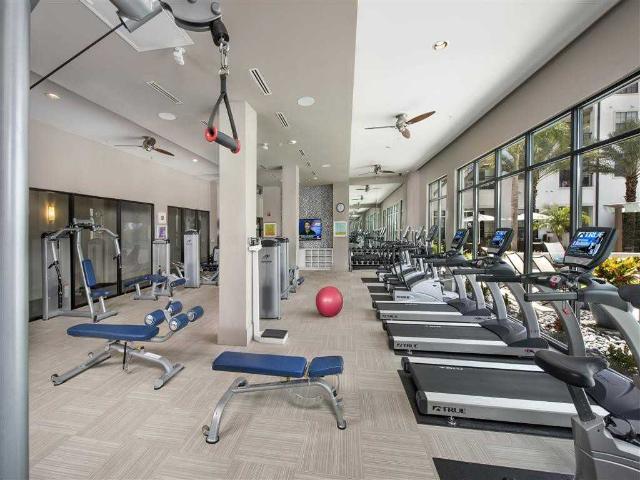Apartment for rent in Orlando