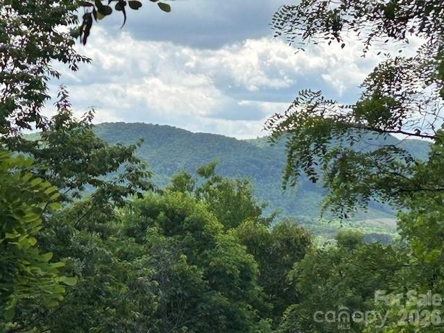 Land for sale in Bostic, Rutherford County
