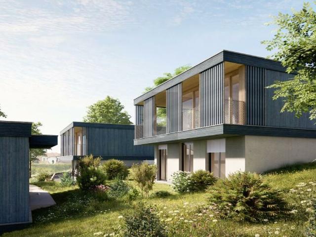 Einfamilienhaus kaufen in Hofstetten-Flüh, Solothurn
