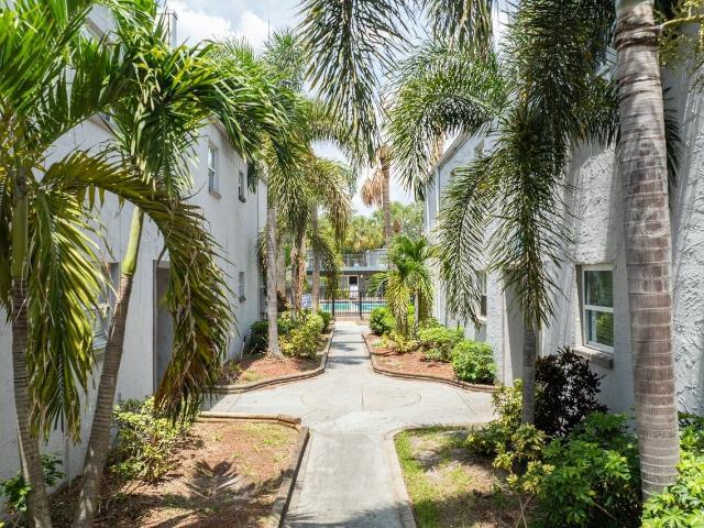 Apartment for rent in Tampa, Florida