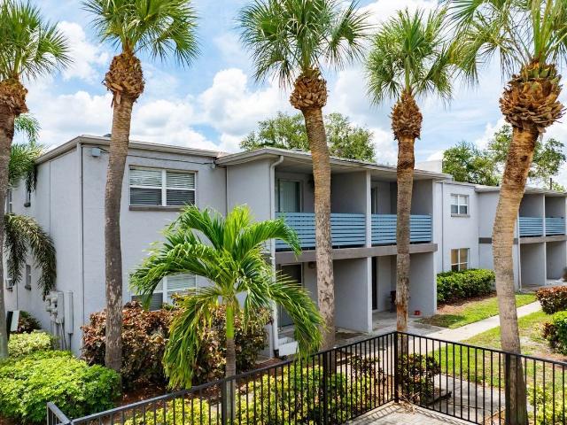 Apartment for rent in Tampa, Florida