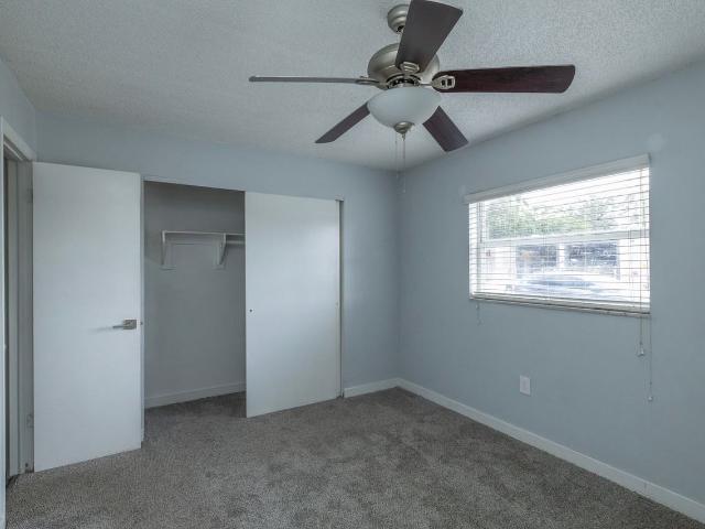 Apartment for rent in Tampa, Florida