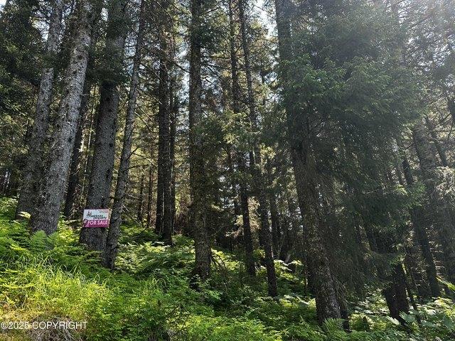 Land for sale in Seldovia, Alaska