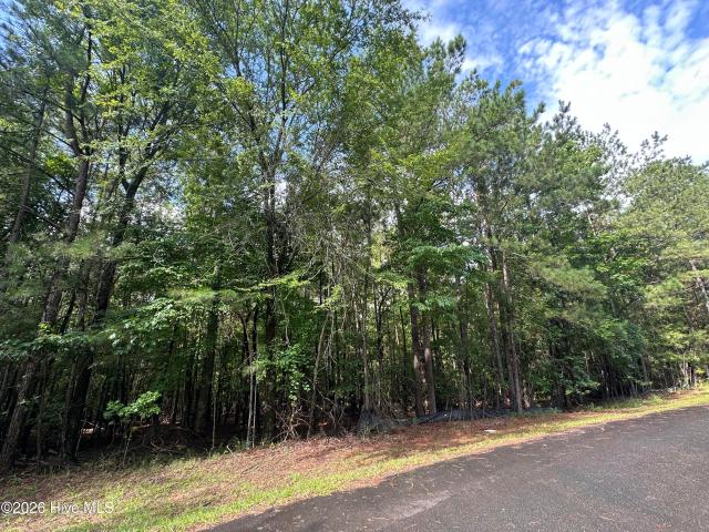 Land for sale in South Carolina