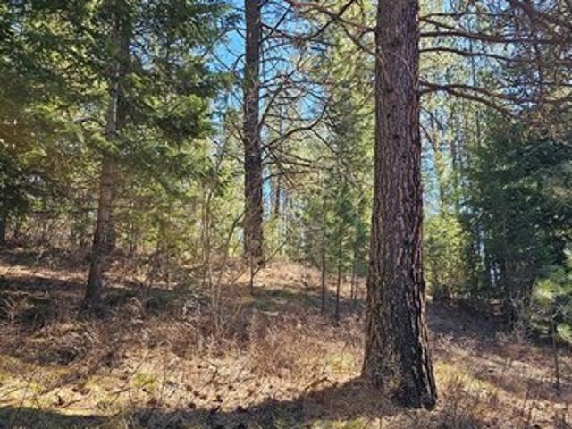 Land for sale in New Meadows, Idaho