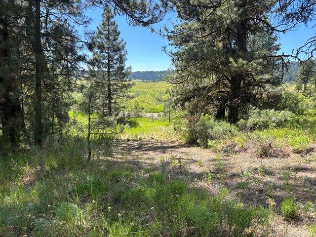 Land for sale in Cascade, Idaho