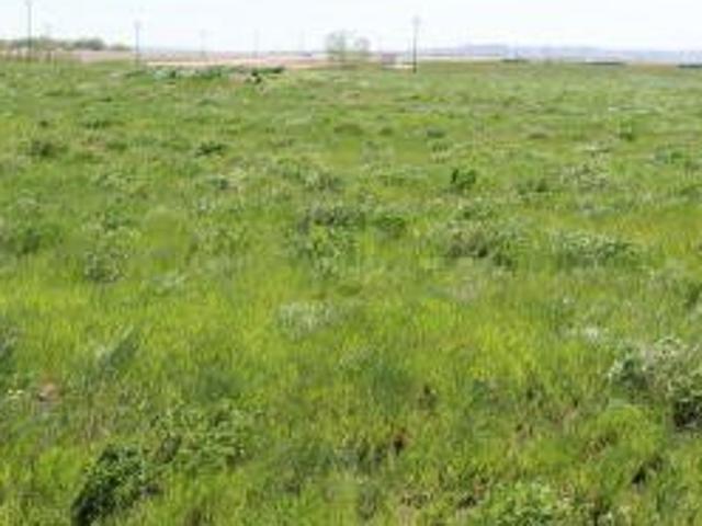 Land for sale in Ray, North Dakota