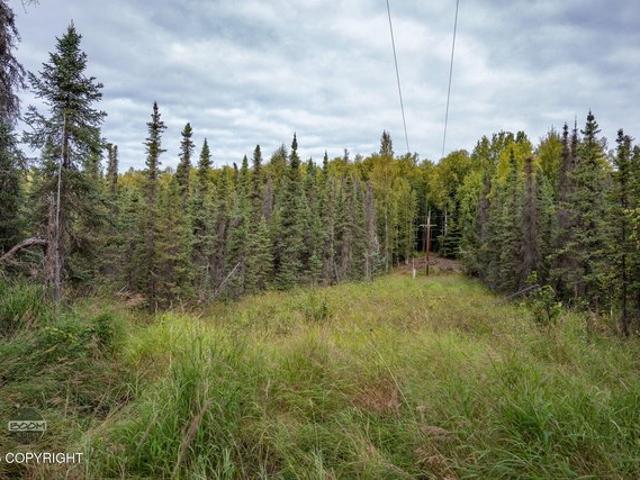 Land for sale in Holt, Missouri