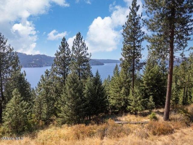 Land for sale in Harrison, Idaho