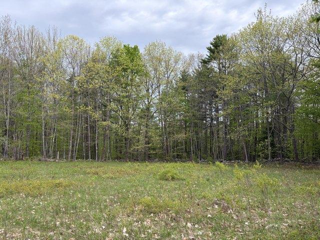 Land for sale in Kansas
