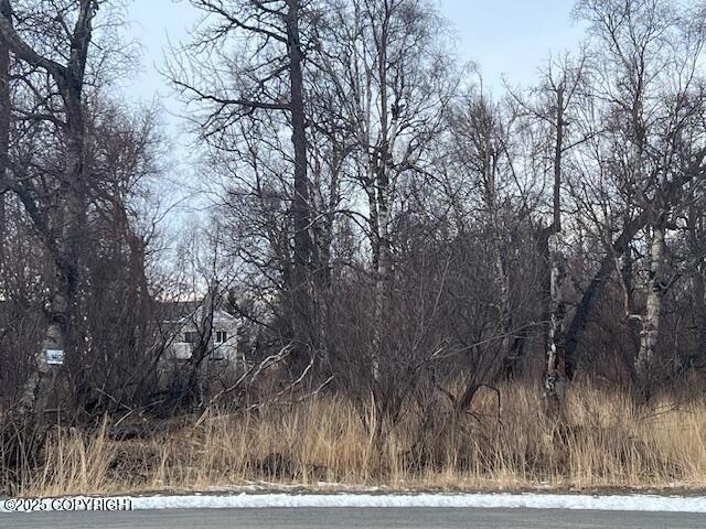 Land for sale in Palmer