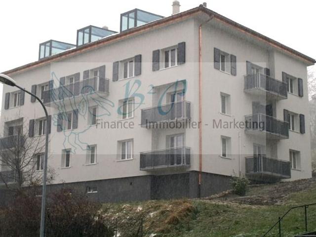 Apartment mieten in La Chaux-de-Fonds