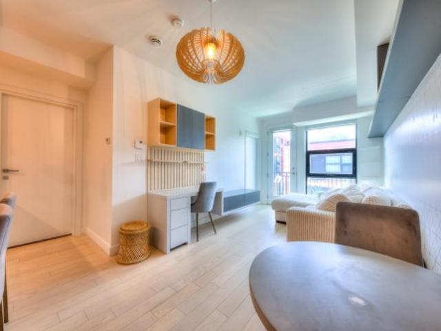 Condo for sale in Le Sud-Ouest, Montréal