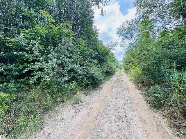 Land for sale in Manton, Michigan