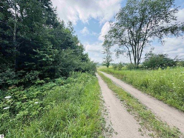 Land for sale in Manton, Michigan