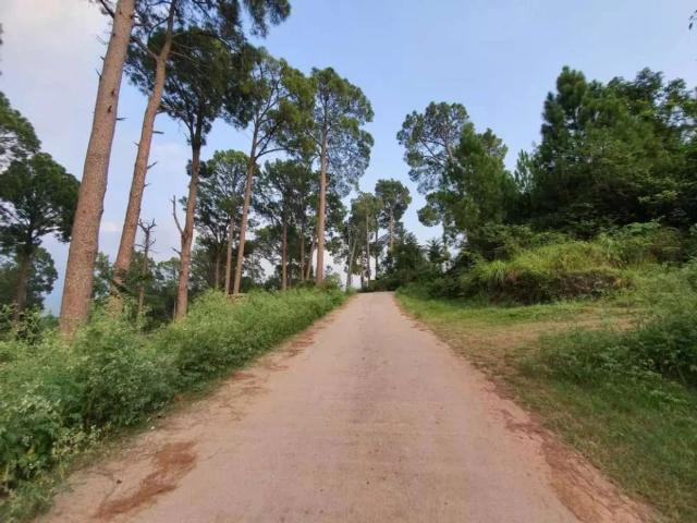 Land for sale in Islamabad