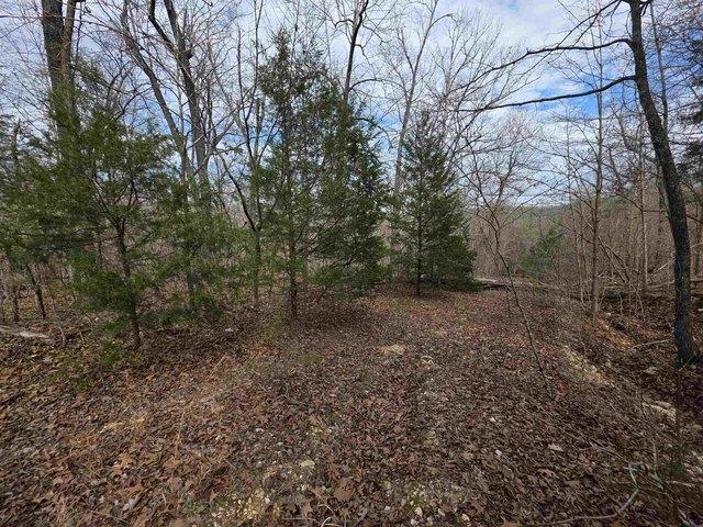 Land for sale in Ark
