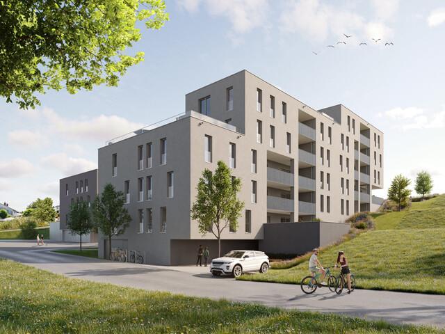 Apartment kaufen