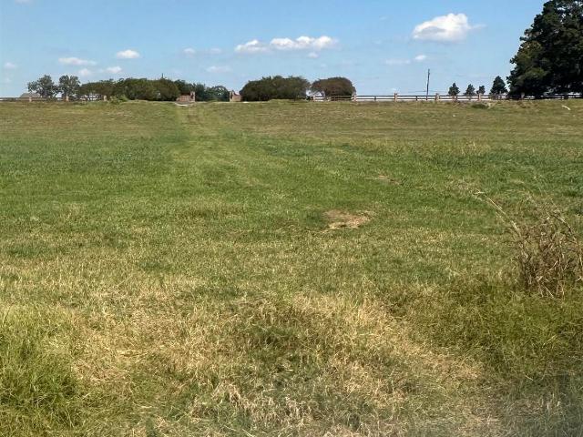 Land for sale in Jarreau, Louisiana