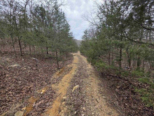 Land for sale in Ark