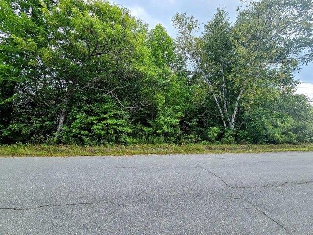 Land for sale in Milo, Piscataquis County