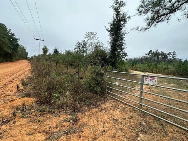 Land for sale in Laurel Hill, Florida