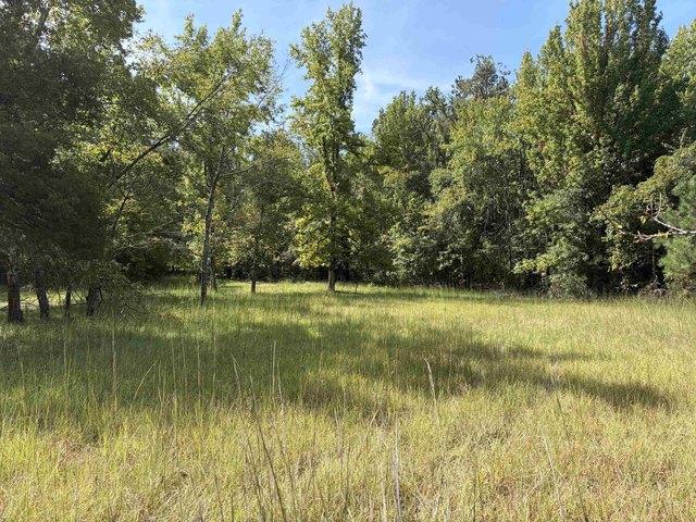 Land for sale in Adamsville, West Tennessee