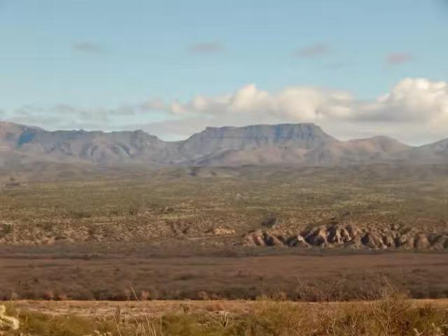 House for rent in Marana