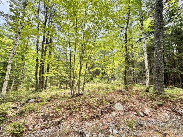Land for sale in Blue Hill, Maine