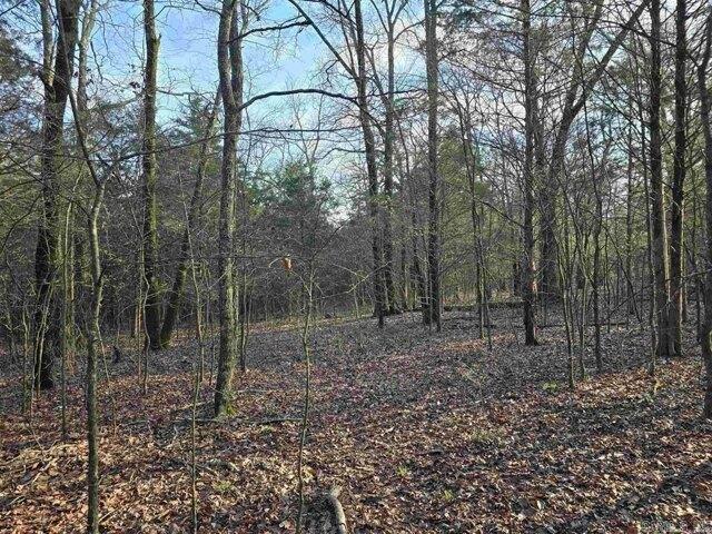 Land for sale in Greenbrier