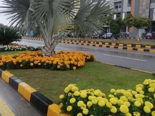 Land for sale in Islamabad