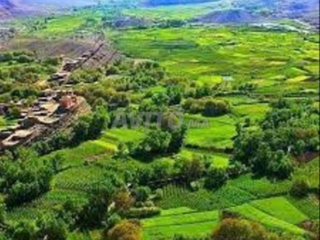 Propriété vente à Azilal