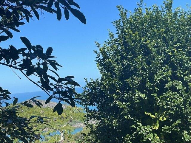 Land for sale in Saint Thomas, Missouri