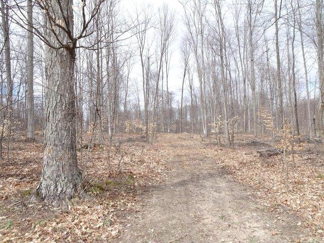 Land for sale in Bear Lake, Michigan