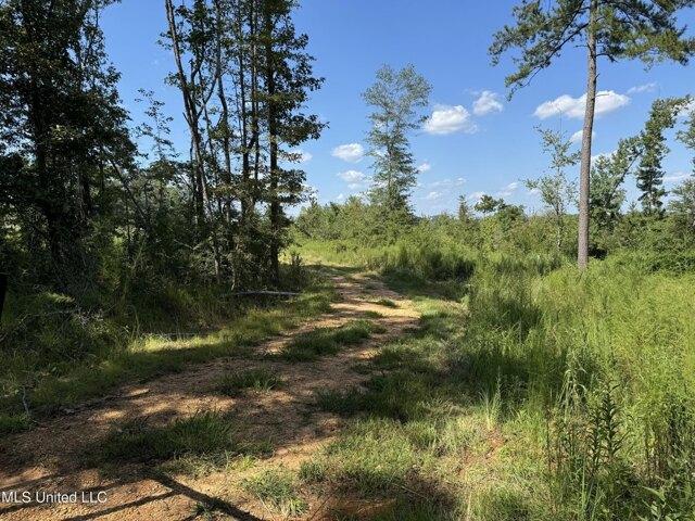Land for sale in Brookhaven