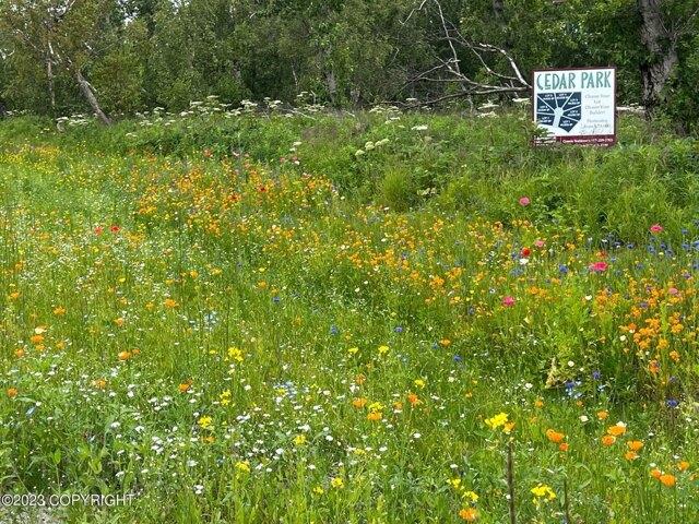 Land for sale in Palmer