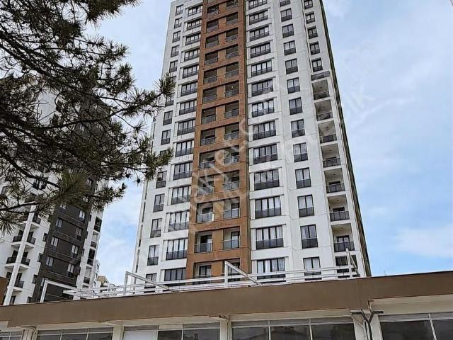 Bilecik Merkez, Bilecik içerisinde kiralık mülk