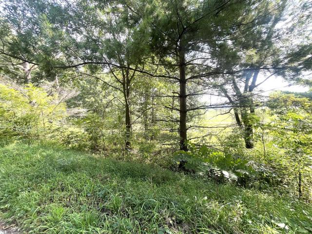 Land for sale in Berryville, Tompkins Township