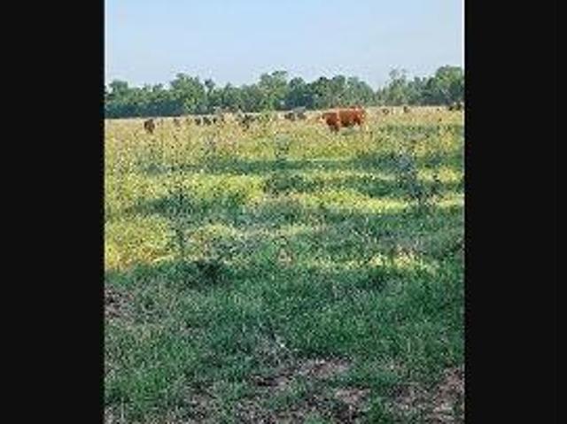 Land for sale in Wichita Falls, Texas