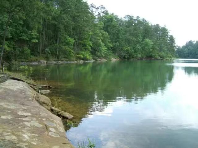 House for rent in Jasper, Alabama