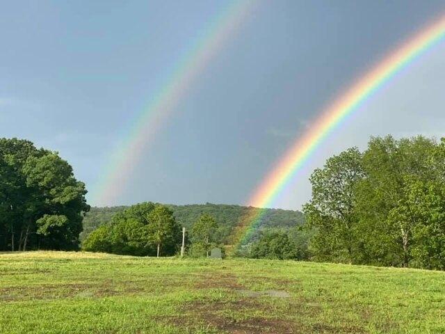 Land for sale in Winchester