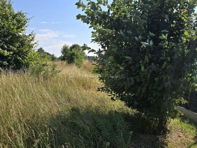 Grunt na sprzedaż w Gutowo, Kujawsko-pomorskie